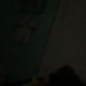 Meet your Posher, Maddie